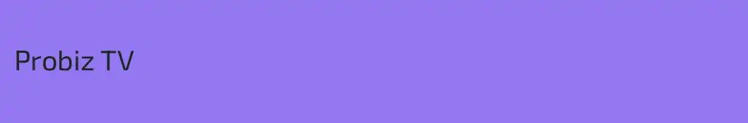 Probiz TV